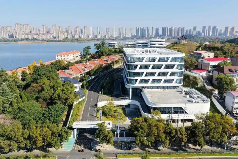 两年八考！“三新三强”擂台赛淬炼高质量发展尖兵