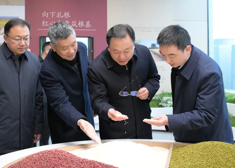 培育特色优势产业 促进城乡共同繁荣 孙兵调研长港河城乡融合发展带建设工作