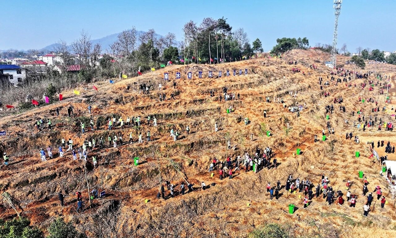 增厚“绿色家底”  添彩“美丽鄂州”  孙兵王玺玮等市领导参加义务植树