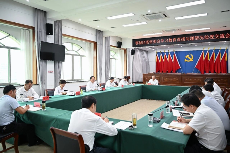 牢固树立和践行正确政绩观 在深学真查实改中推动发展 孙兵指导鄂城区委常委会学习教育查摆问题情况检视交流会