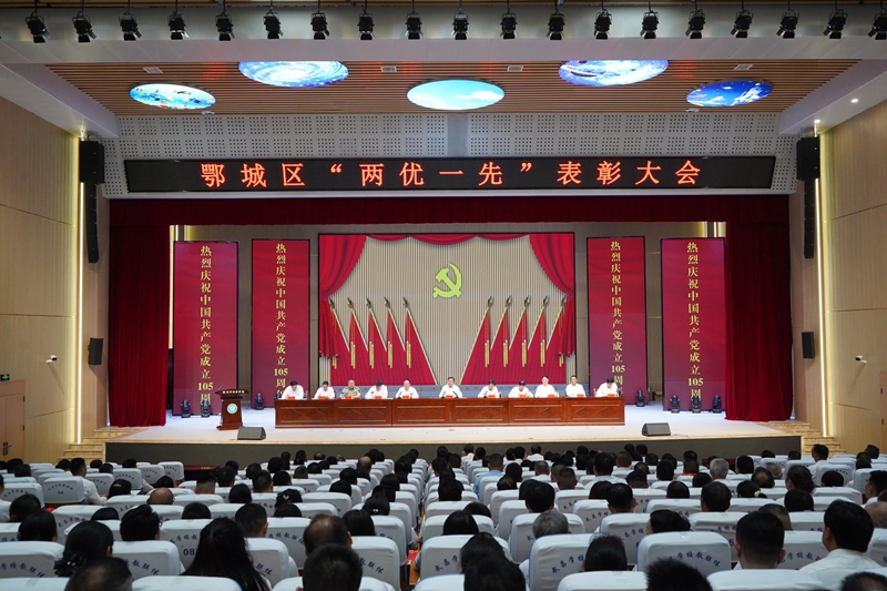 鄂城区“两优一先”表彰大会举行 夏鑫讲党课