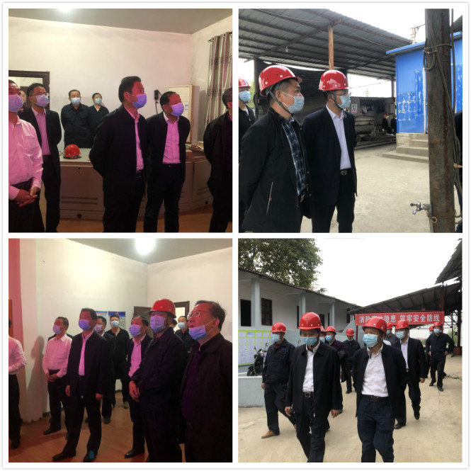 泽林镇副市长姜飞轮一行到我镇视察安全生产工作